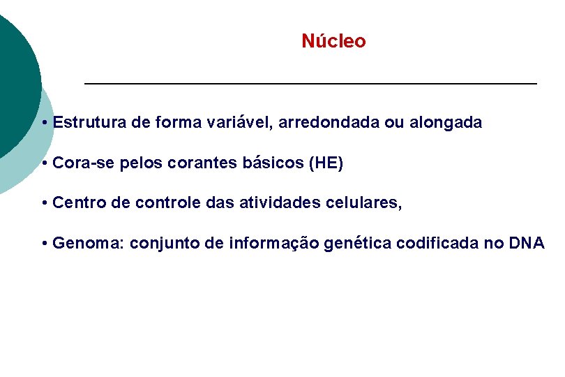 Núcleo • Estrutura de forma variável, arredondada ou alongada • Cora-se pelos corantes básicos