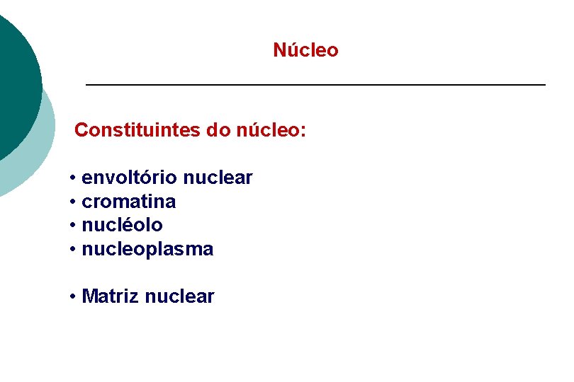 Núcleo Constituintes do núcleo: • envoltório nuclear • cromatina • nucléolo • nucleoplasma •