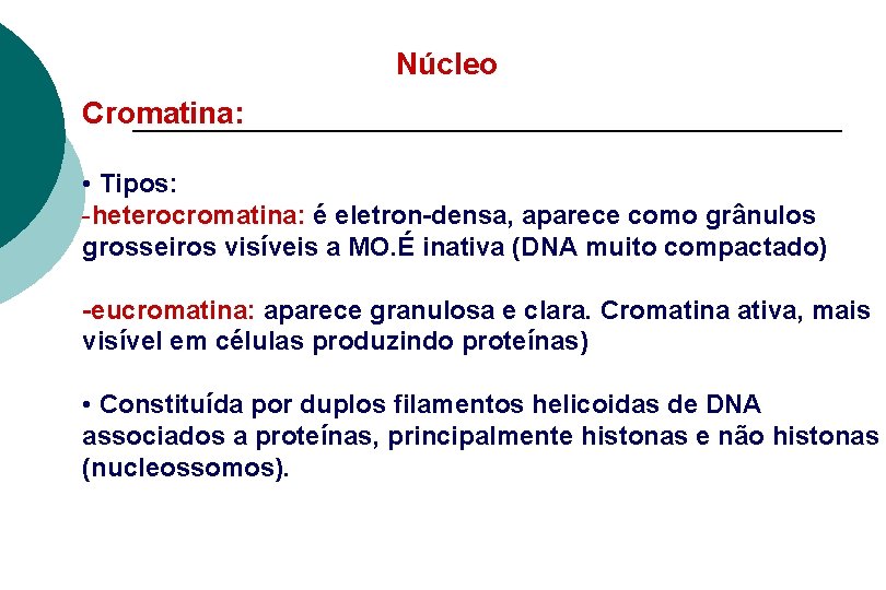 Núcleo Cromatina: • Tipos: -heterocromatina: é eletron-densa, aparece como grânulos grosseiros visíveis a MO.