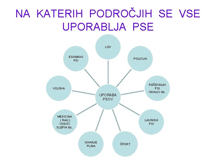 NA KATERIH PODROČJIH SE VSE UPORABLJA PSE LOV ESKIMSKI PSI POLICIJA REŠEVALNI PSI ISKALCI