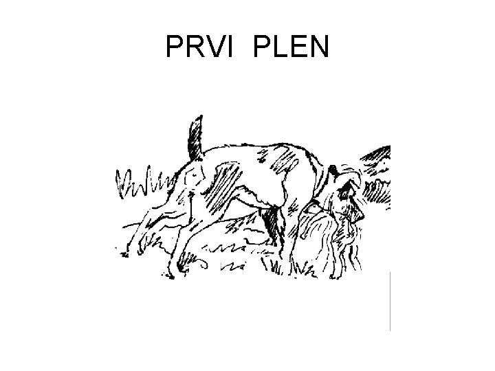 PRVI PLEN 