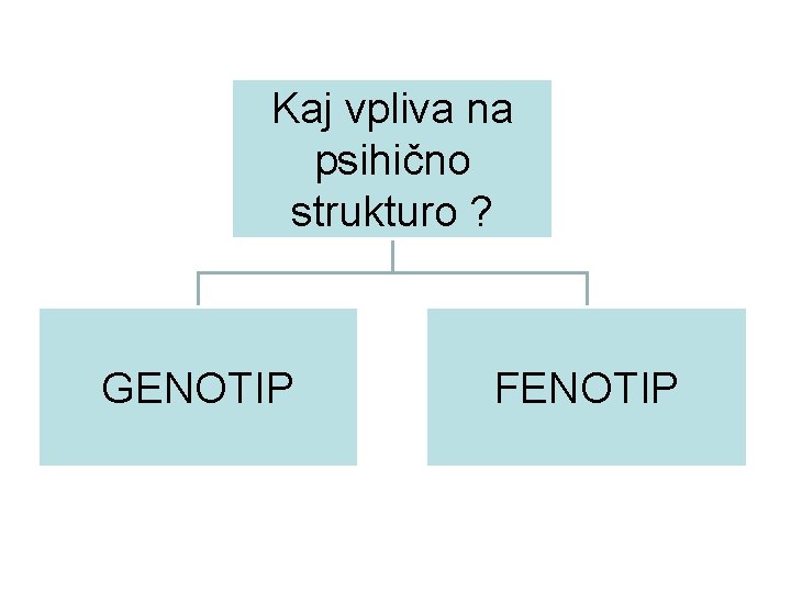 Kaj vpliva na psihično strukturo ? GENOTIP FENOTIP 