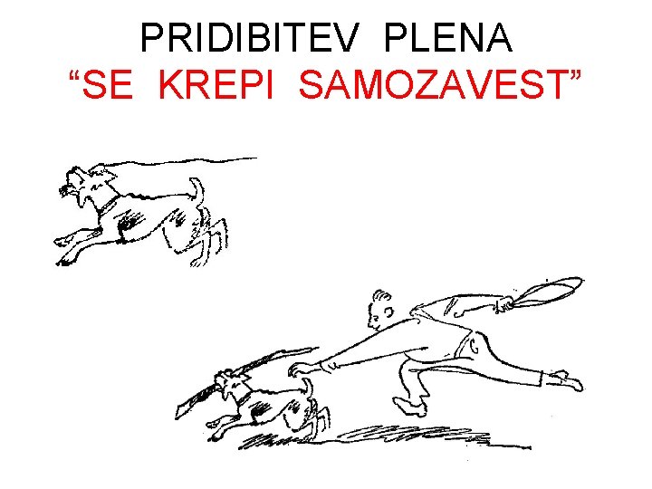 PRIDIBITEV PLENA “SE KREPI SAMOZAVEST” 