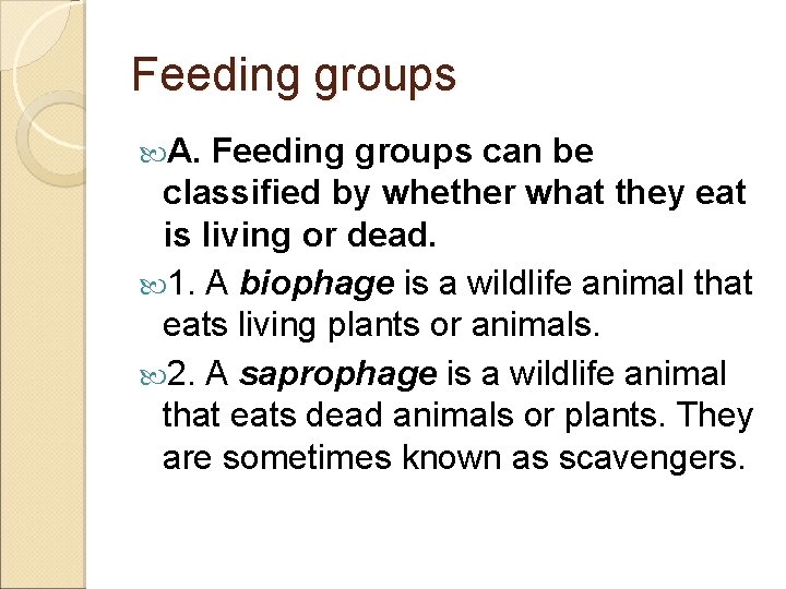 Feeding groups A. Feeding groups can be classified by whether what they eat is