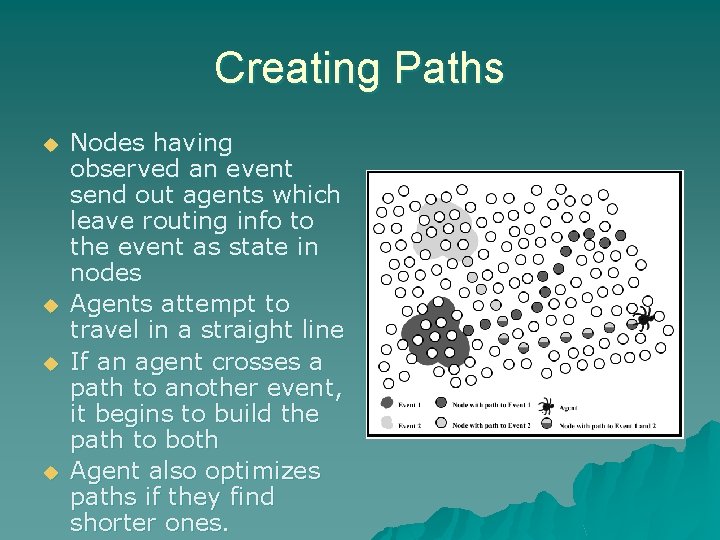 Creating Paths u u Nodes having observed an event send out agents which leave