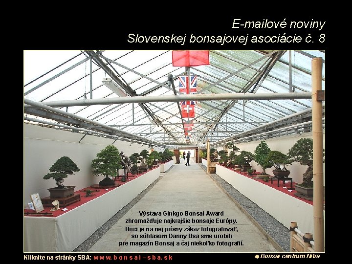 E-mailové noviny Slovenskej bonsajovej asociácie č. 8 Výstava Ginkgo Bonsai Award zhromažďuje najkrajšie bonsaje