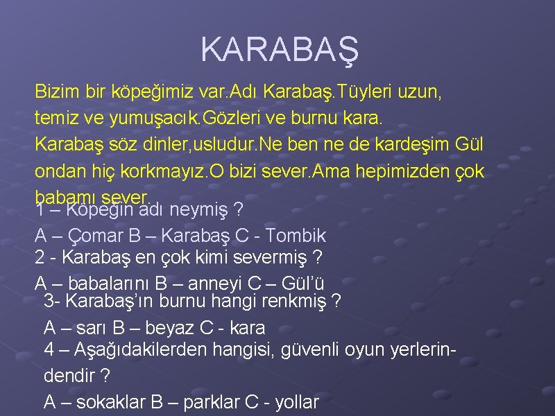 KARABAŞ Bizim bir köpeğimiz var. Adı Karabaş. Tüyleri uzun, temiz ve yumuşacık. Gözleri ve