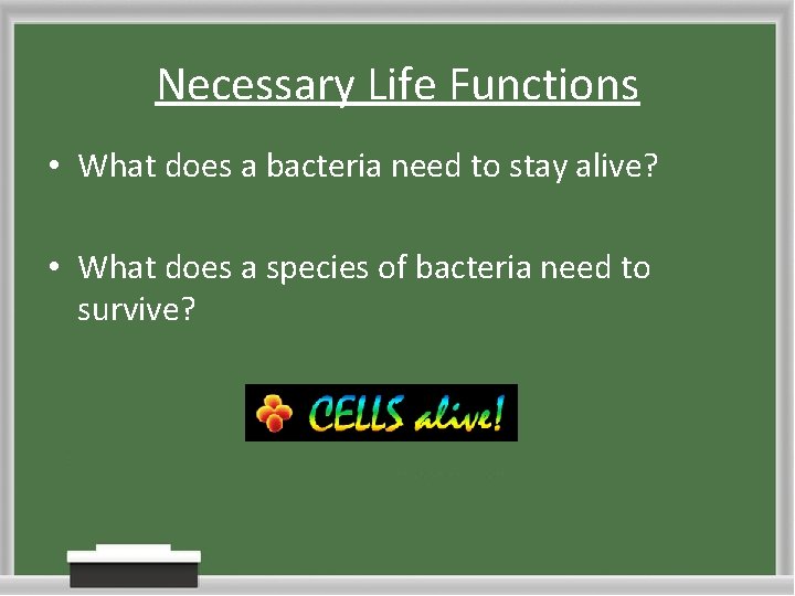 Necessary Life Functions • What does a bacteria need to stay alive? • What Necessary Life Functions • What does a bacteria need to stay alive? • What