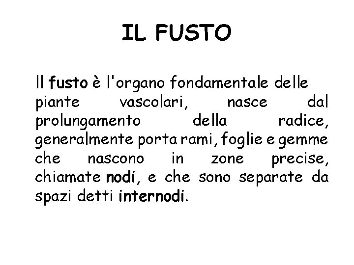 IL FUSTO ll fusto è l'organo fondamentale delle piante vascolari, nasce dal prolungamento della