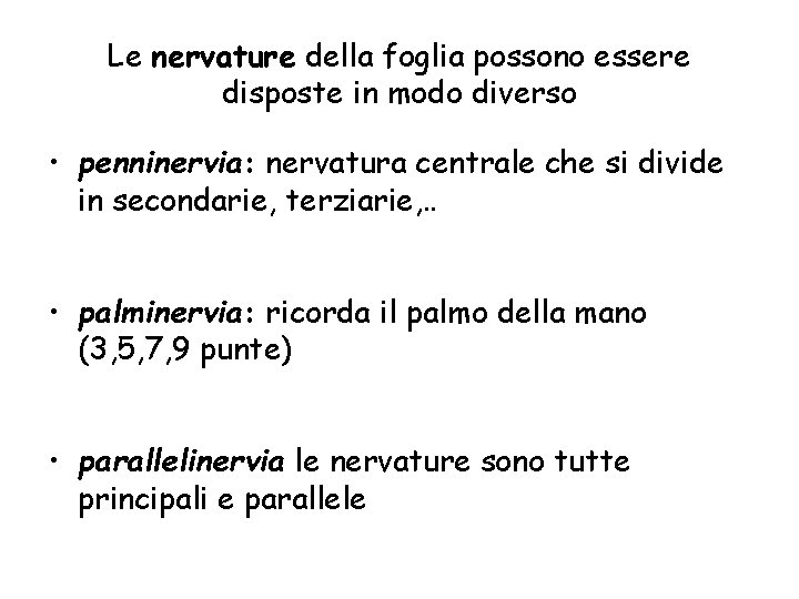 Le nervature della foglia possono essere disposte in modo diverso • penninervia: nervatura centrale