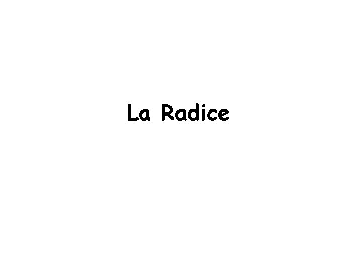 La Radice 