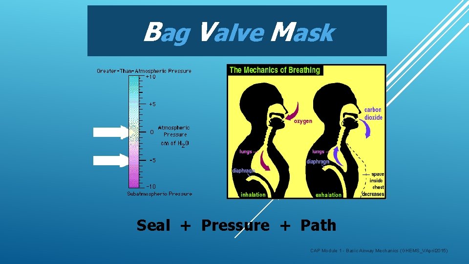 Bag Valve Mask Seal + Pressure + Path CAP Module 1 - Basic Airway