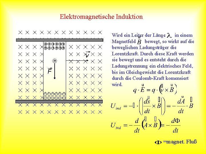 Elektromagnetische Induktion Wird ein Leiter der Länge in einem Magnetfeld bewegt, so wirkt auf