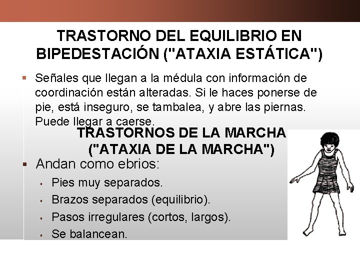 TRASTORNO DEL EQUILIBRIO EN BIPEDESTACIÓN ("ATAXIA ESTÁTICA") § Señales que llegan a la médula