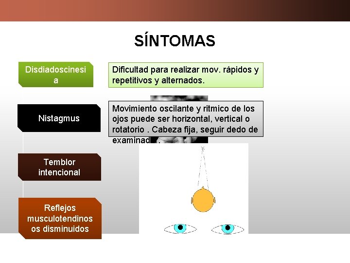 SÍNTOMAS Disdiadoscinesi a Nistagmus Temblor intencional Reflejos musculotendinos os disminuidos Dificultad para realizar mov.