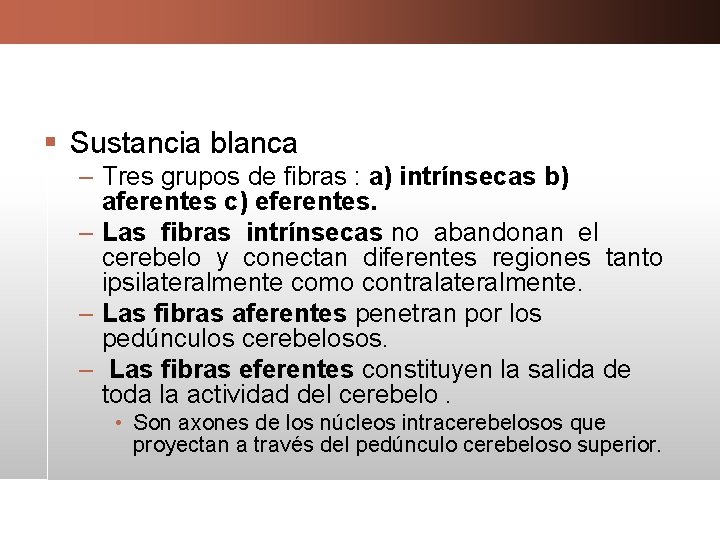 § Sustancia blanca – Tres grupos de fibras : a) intrínsecas b) aferentes c)