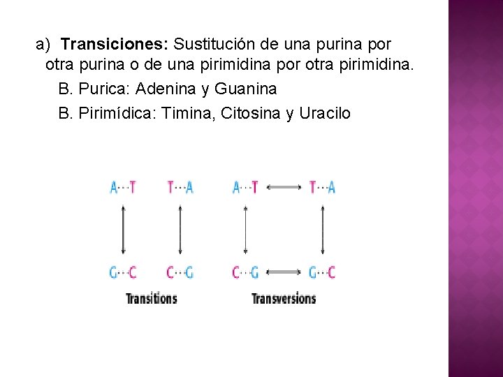  a) Transiciones: Sustitución de una purina por otra purina o de una pirimidina
