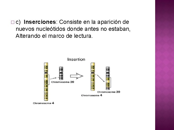 � c) Inserciones: Consiste en la aparición de nuevos nucleótidos donde antes no estaban,