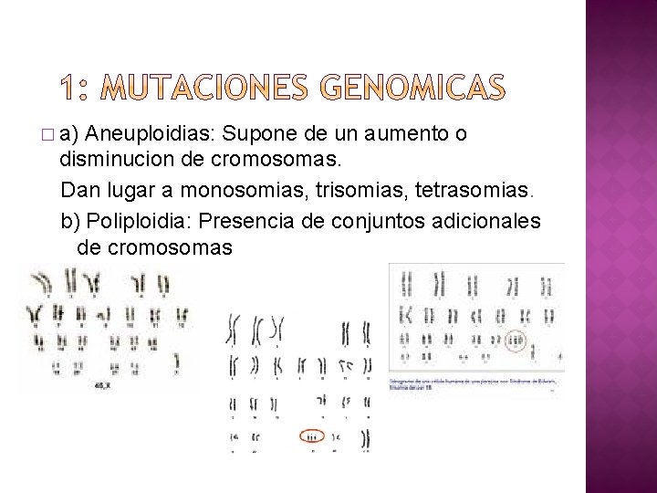 � a) Aneuploidias: Supone de un aumento o disminucion de cromosomas. Dan lugar a