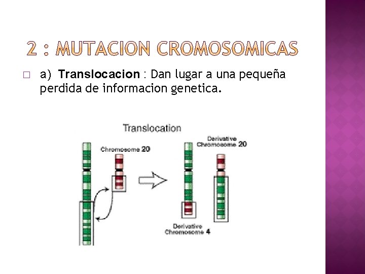 � a) Translocacion : Dan lugar a una pequeña perdida de informacion genetica. 