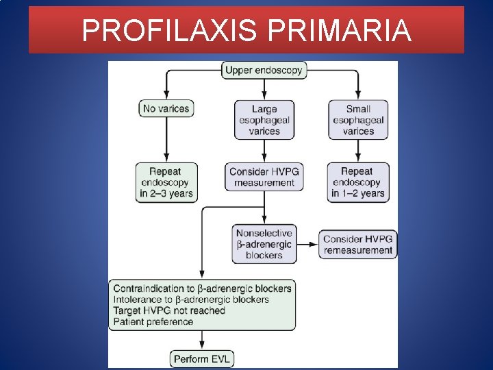 PROFILAXIS PRIMARIA 