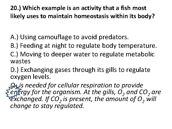 20. ) Which example is an activity that a fish most likely uses to