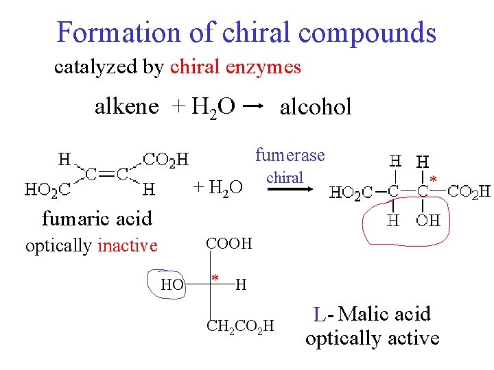 Formation of chiral compounds catalyzed by chiral enzymes alkene + H 2 O alcohol