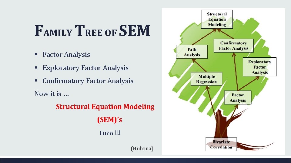 FAMILY TREE OF SEM § Factor Analysis § Exploratory Factor Analysis § Confirmatory Factor