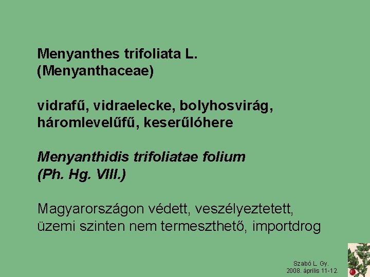 Menyanthes trifoliata L. (Menyanthaceae) vidrafű, vidraelecke, bolyhosvirág, háromlevelűfű, keserűlóhere Menyanthidis trifoliatae folium (Ph. Hg.