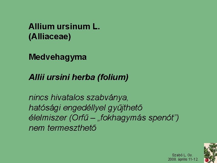 Allium ursinum L. (Alliaceae) Medvehagyma Allii ursini herba (folium) nincs hivatalos szabványa, hatósági engedéllyel