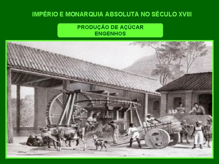 IMPÉRIO E MONARQUIA ABSOLUTA NO SÉCULO XVIII PRODUÇÃO DE AÇÚCAR ENGENHOS 