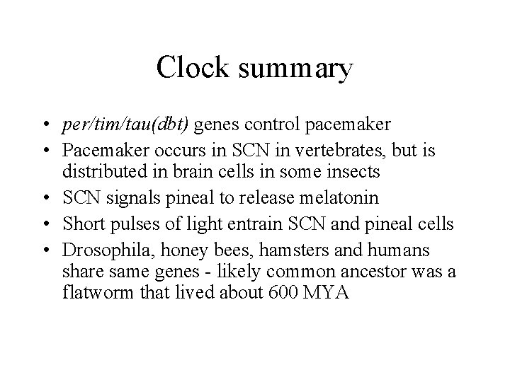 Clock summary • per/tim/tau(dbt) genes control pacemaker • Pacemaker occurs in SCN in vertebrates,