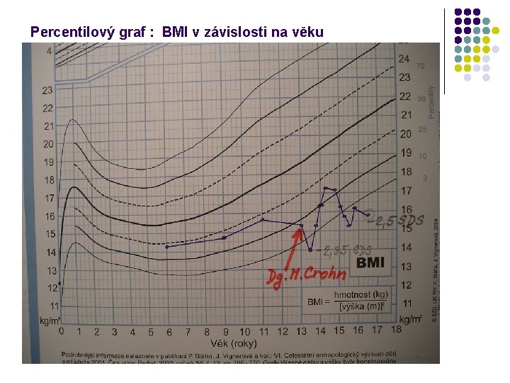 Percentilový graf : BMI v závislosti na věku 