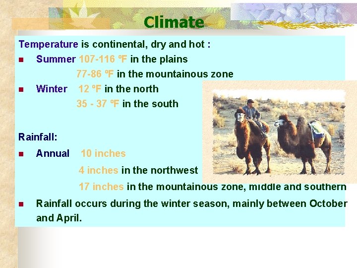 Climate Temperature is continental, dry and hot : n Summer 107 -116 ºF in