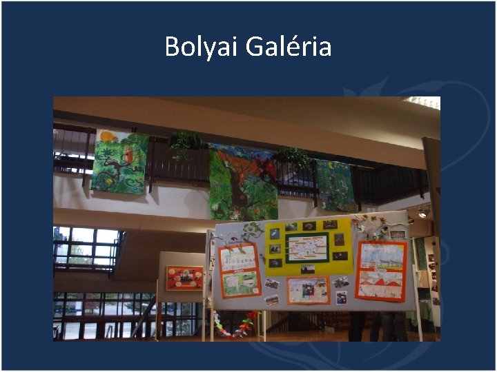 Bolyai Galéria Bolyai Galéria