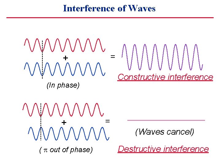 Interference of Waves = + Constructive interference (In phase) + ( out of phase)