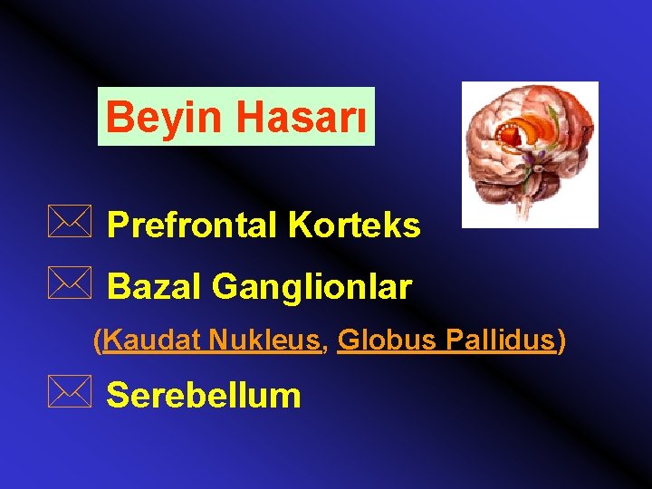 Beyin Hasarı * Prefrontal Korteks * Bazal Ganglionlar (Kaudat Nukleus, Globus Pallidus) * Serebellum