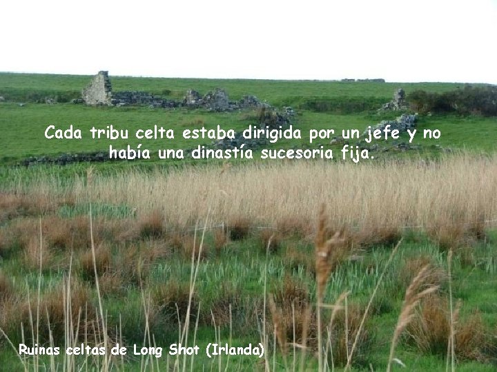 Cada tribu celta estaba dirigida por un jefe y no había una dinastía sucesoria Cada tribu celta estaba dirigida por un jefe y no había una dinastía sucesoria