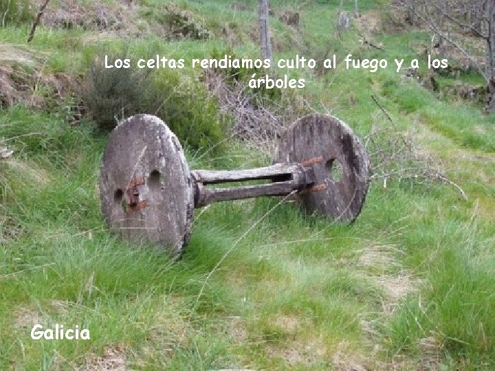 Los celtas rendiamos culto al fuego y a los árboles Galicia 