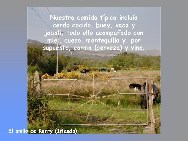 Nuestra comida típica incluía cerdo cocido, buey, vaca y jabalí, todo ello acompañado con Nuestra comida típica incluía cerdo cocido, buey, vaca y jabalí, todo ello acompañado con