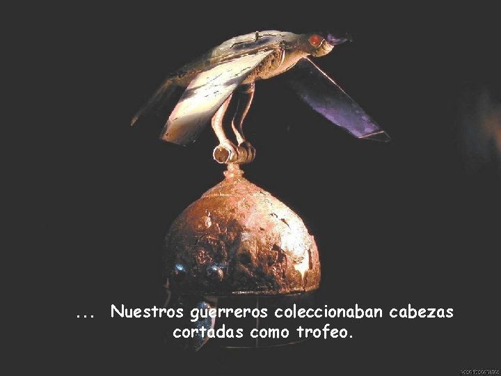 . . . Nuestros guerreros coleccionaban cabezas cortadas como trofeo. . . . Nuestros guerreros coleccionaban cabezas cortadas como trofeo.