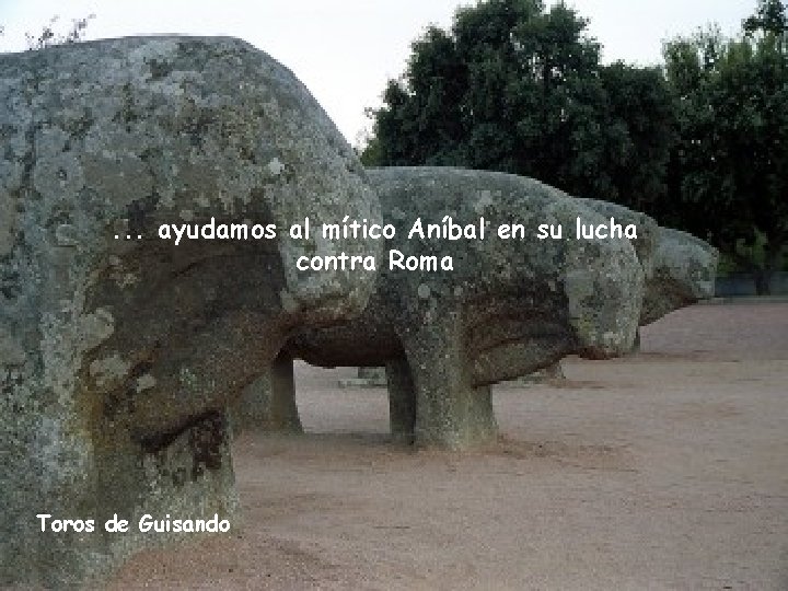 . . . ayudamos al mítico Aníbal en su lucha contra Roma Toros de