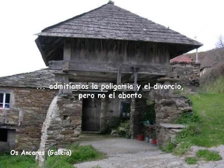. . . admitíamos la poligamia y el divorcio, pero no el aborto Os . . . admitíamos la poligamia y el divorcio, pero no el aborto Os