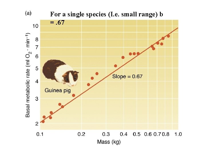 For a single species (I. e. small range) b =. 67 
