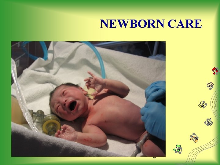 NEWBORN CARE 