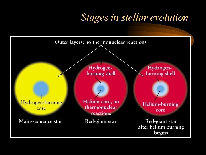 Stages in stellar evolution 