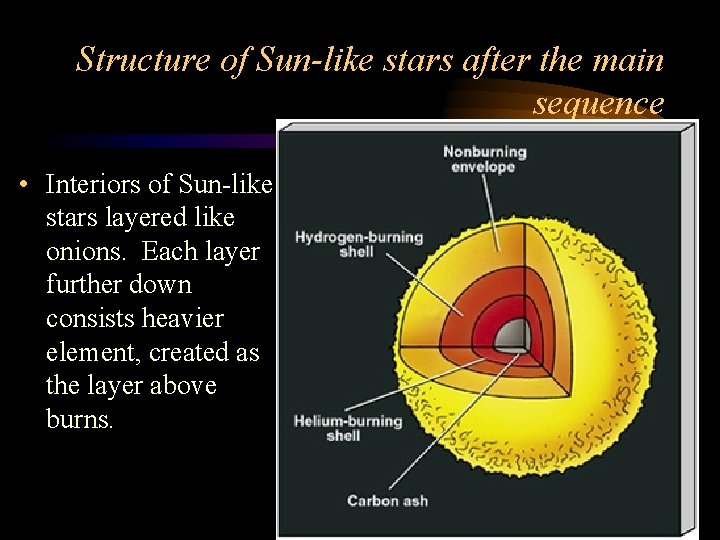 Structure of Sun-like stars after the main sequence • Interiors of Sun-like stars layered Structure of Sun-like stars after the main sequence • Interiors of Sun-like stars layered