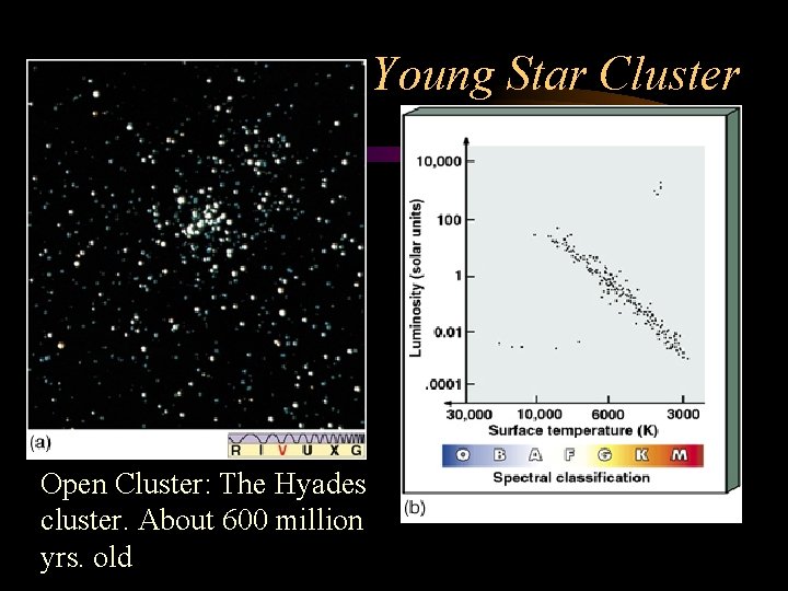 Young Star Cluster Open Cluster: The Hyades cluster. About 600 million yrs. old Young Star Cluster Open Cluster: The Hyades cluster. About 600 million yrs. old