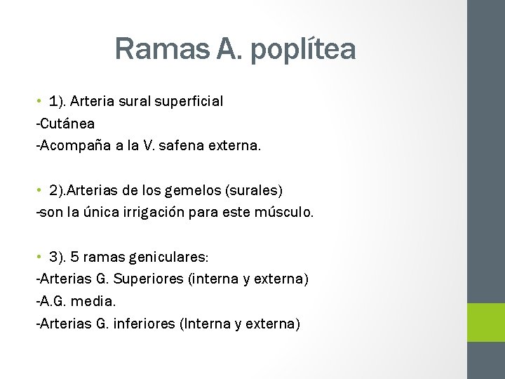 Ramas A. poplítea • 1). Arteria sural superficial -Cutánea -Acompaña a la V. safena