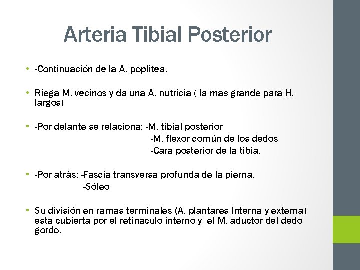 Arteria Tibial Posterior • -Continuación de la A. poplitea. • Riega M. vecinos y